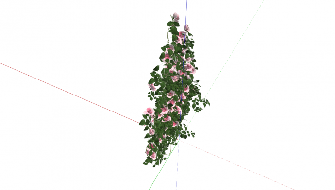  一棵开满了粉白色花的的月季花 su模型_图1
