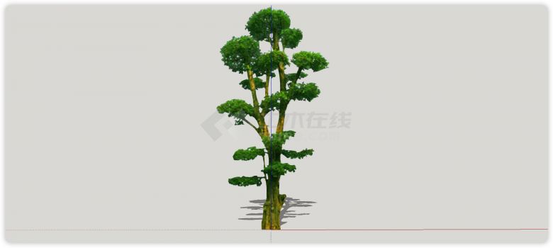 西兰花形状绿丝带造型树su模型-图一