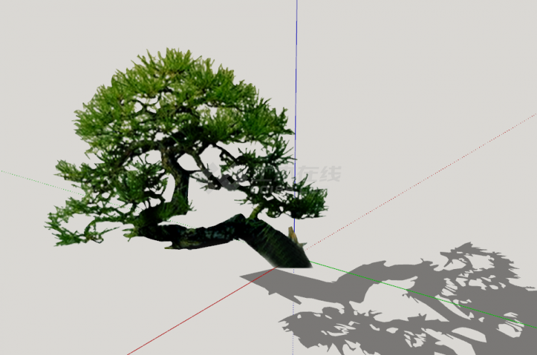 公园园林造型松树su模型-图二