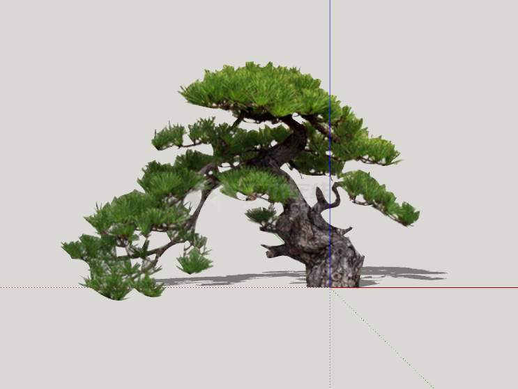 绿色弯曲造型松树组合su模型-图一