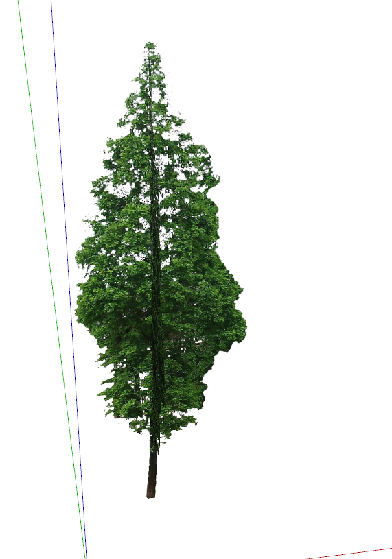 细长高大的绿色植物su模型_图1