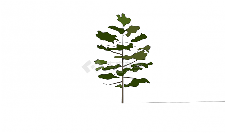 独特茂密景观树植物小品su模型-图二