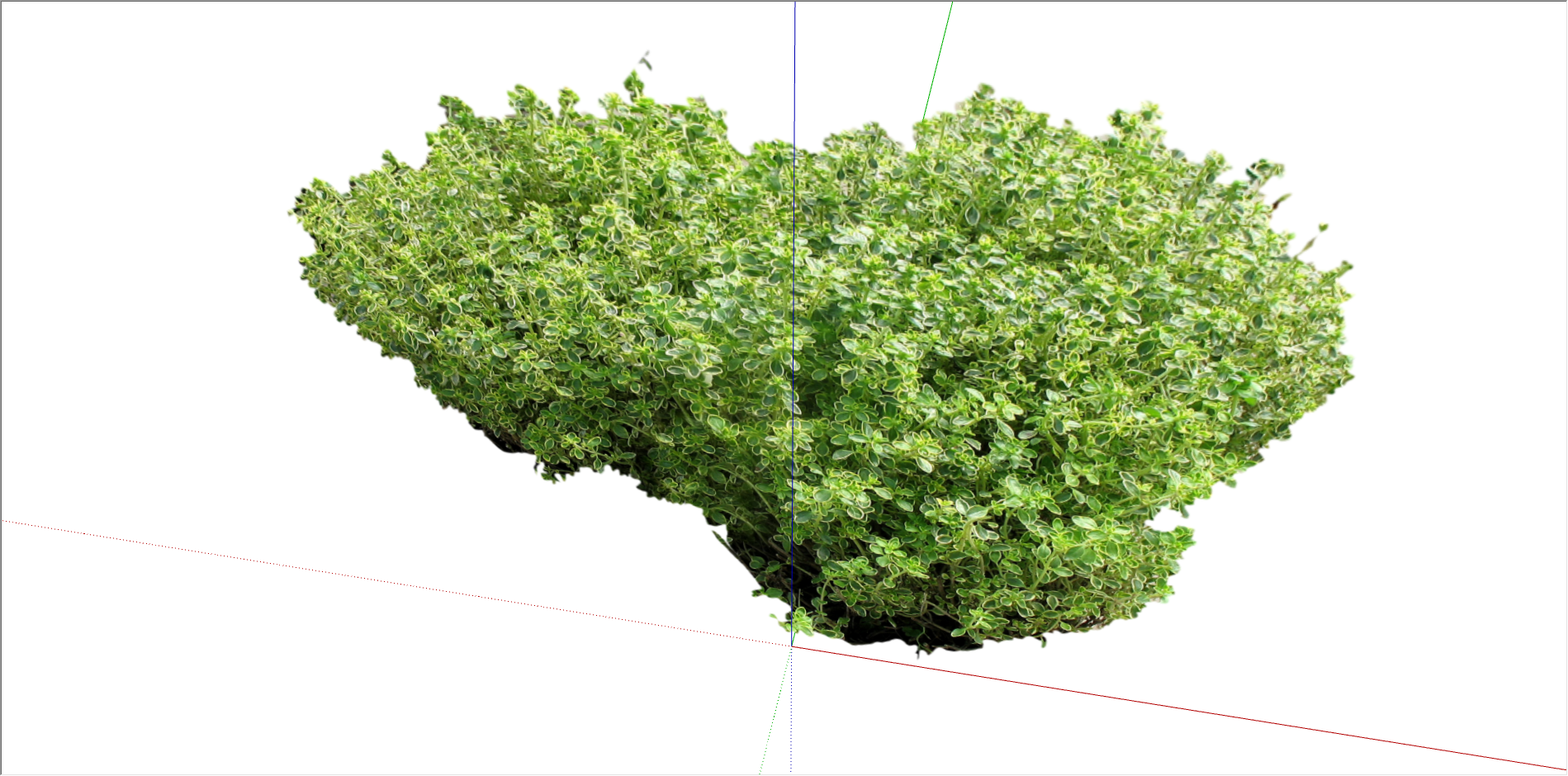 现代绿化观赏性植物su模型-图二