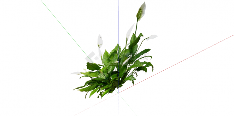 公园观赏性白色花植物su模型-图一