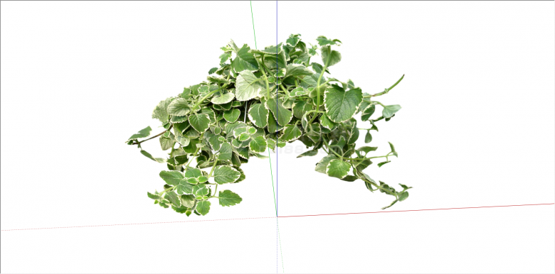 藤曼状白绿色叶植物su模型-图一