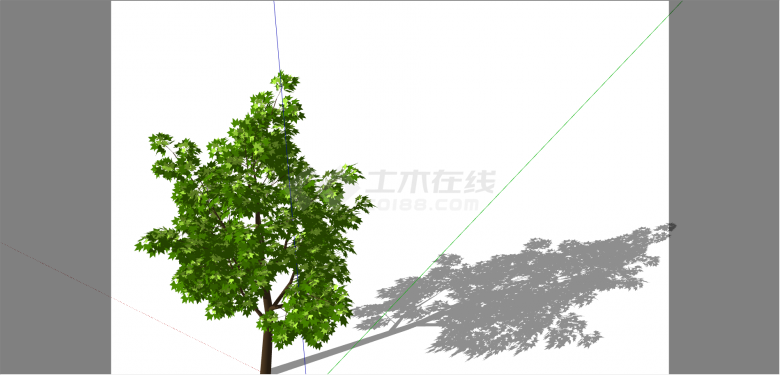 公园观赏性景观树su模型-图二