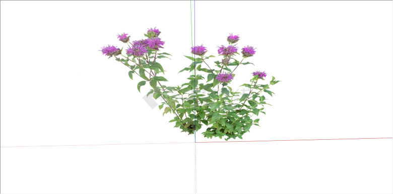 粉色细长花瓣花卉植物su模型-图二
