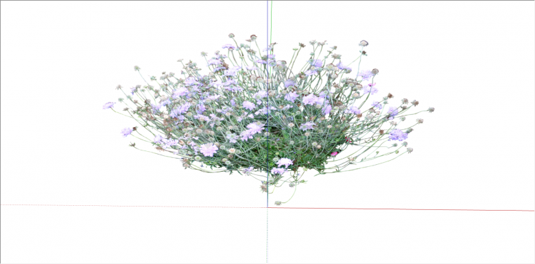 家居观赏性花卉植物su模型-图二