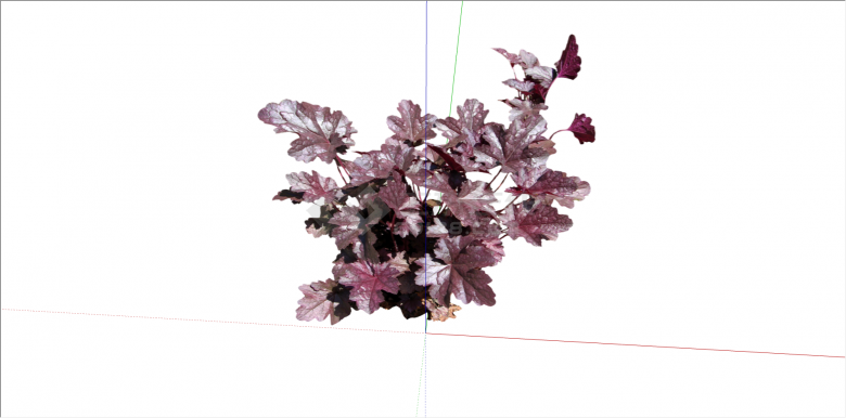 现代观赏性红色叶植物su模型-图二