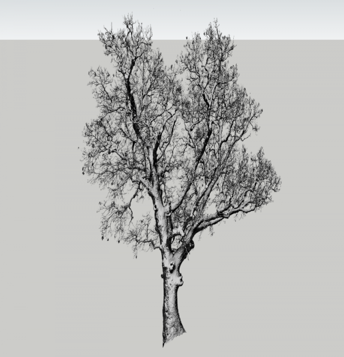 现代黑白剪影树木景观小品su模型_图1