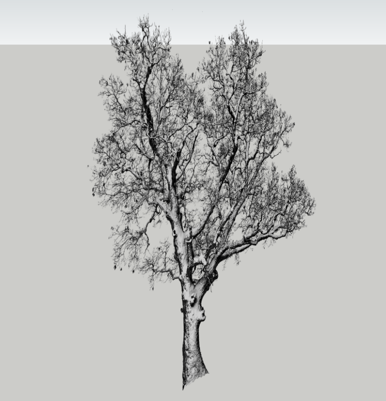 现代黑白剪影树木景观小品su模型-图一