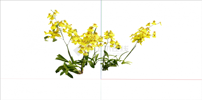 家居黄色花卉植物su模型-图二