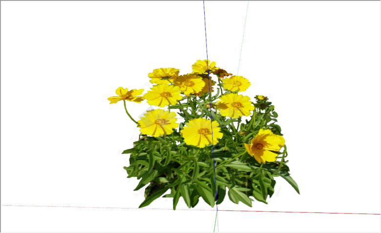 现代黄色花朵景观花卉su模型-图二