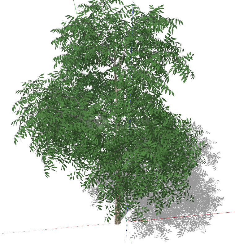 深绿色浓密叶子的绿色乔木 su模型-图二
