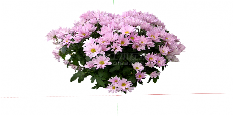 都市粉色花朵组合植物su模型-图二