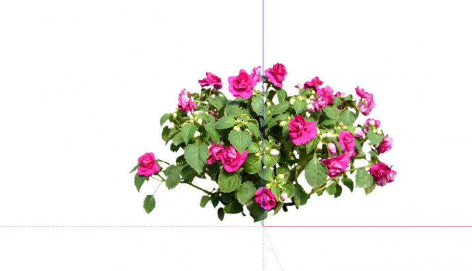 粉红色花卉单簇灌木su模型_图1