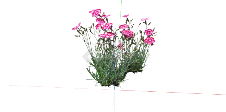 现代粉红双色花植物su模型-图二