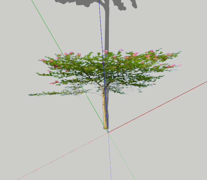 一颗开满鲜花的树木su模型-图一
