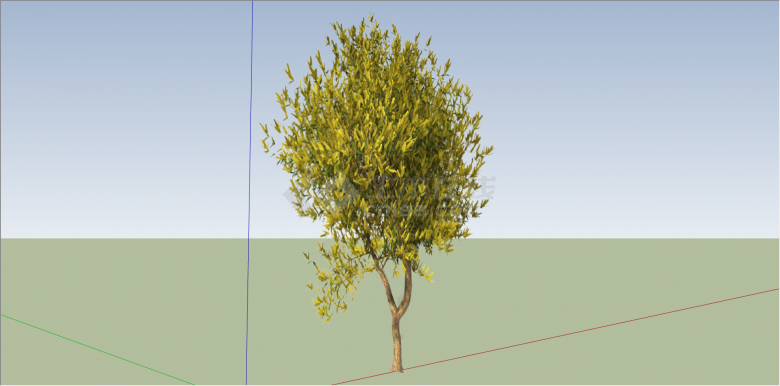 公园单棵黄叶造型树su模型-图一