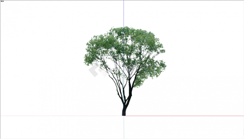 一棵茂密的粗壮的大树su模型-图二