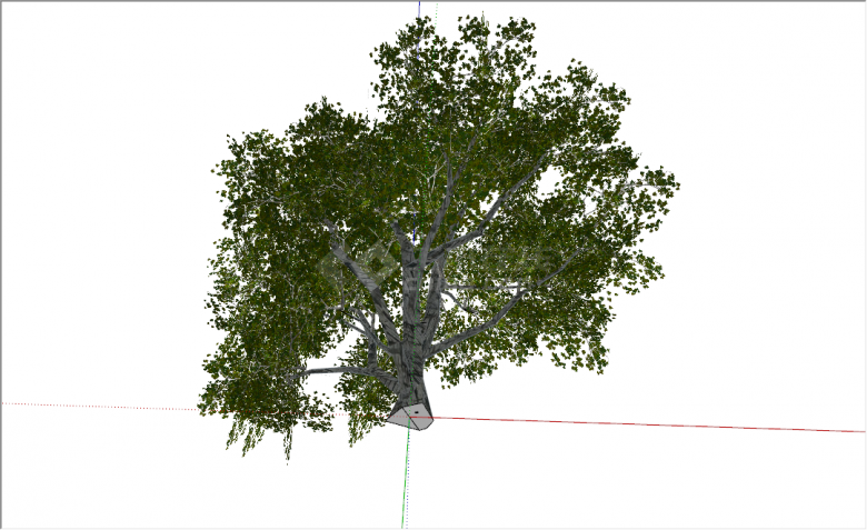 现代乔木榆树园林景观su模型-图二