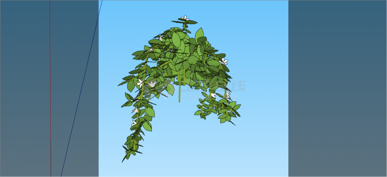 现代经典小白花藤蔓植物su模型-图二
