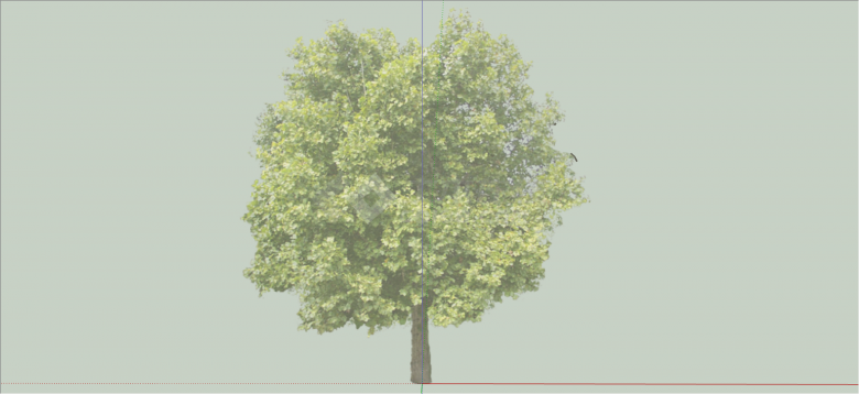 现代经典大型树木乔木su模型-图二