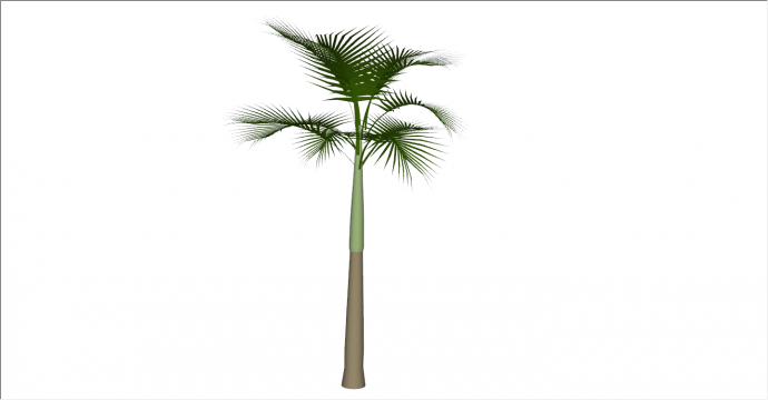 绿色植物独立棕榈热带树su模型_图1