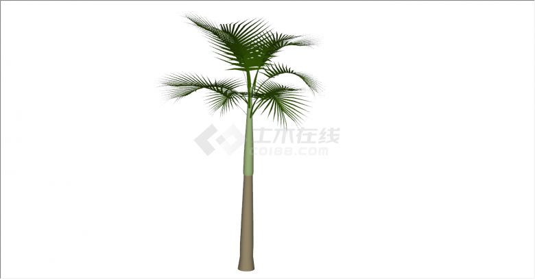 绿色植物独立棕榈热带树su模型-图一
