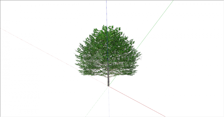 经典杨树su建模使用乔木模型-图一