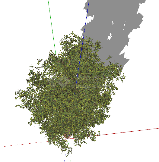现代苍翠繁茂自然绿色乔木su模型-图二