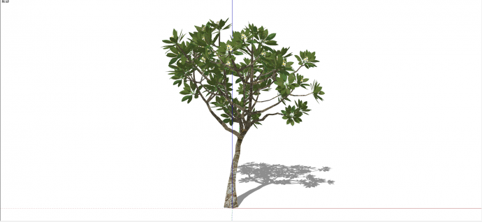 桑科面包树绿色乔木su模型_图1