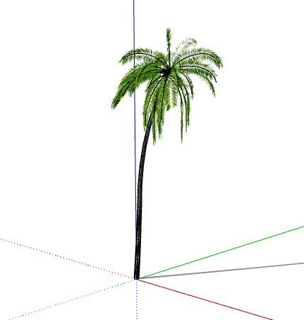 弯曲高耸现代3D热带树su模型-图二