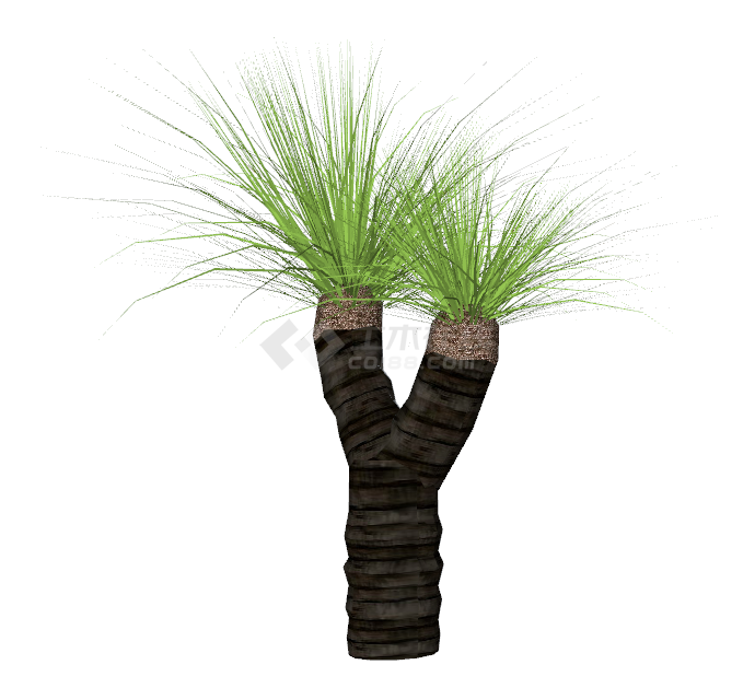 绿色独特热带棕榈树su模型-图二