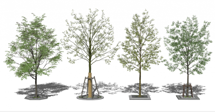现代路边景观树树池su模型_图1