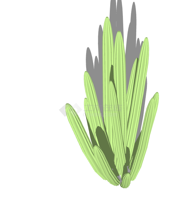 一株茂密的绿色的植物su模型-图一