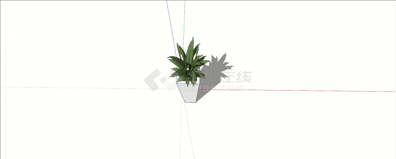 兰科墨兰室内植物su模型-图二