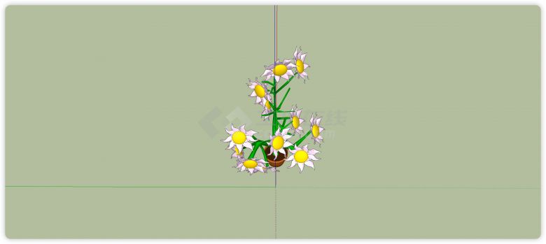 陶瓷花盆白色太阳花室内植物su模型-图二