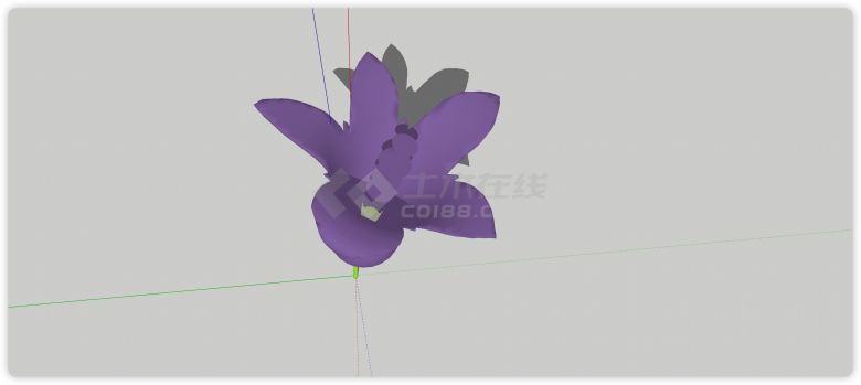 紫色郁金香花室内植物su模型-图二