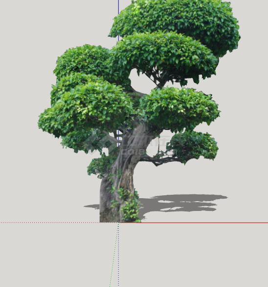 别致2D造型景观树组合 su模型-图一