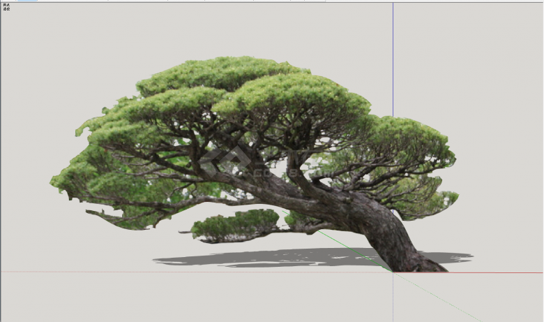 树干弯曲大型植物景观su模型-图二