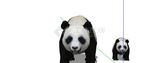 两只黑白一大一小的熊猫su模型-图二