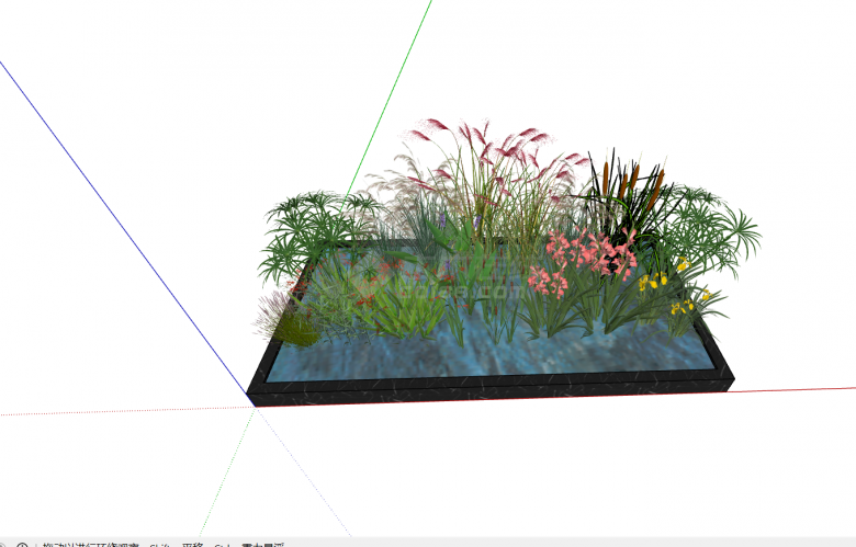 现代花草活力水生植物su模型-图二