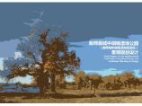 新疆中胡杨湿地公园及旅游区景观规划设计.pdf图片1