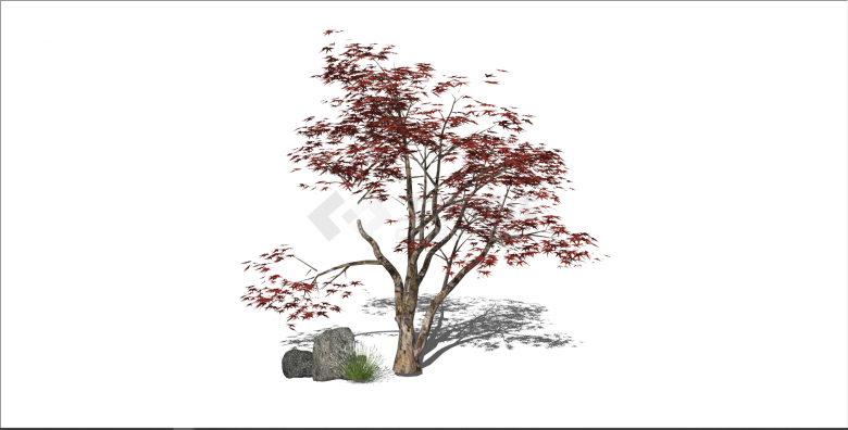 新中式红色枫叶景观树su模型-图一