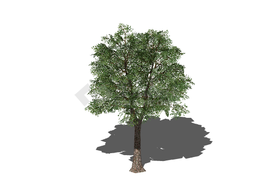 简单一团绿叶植物树木su模型-图一