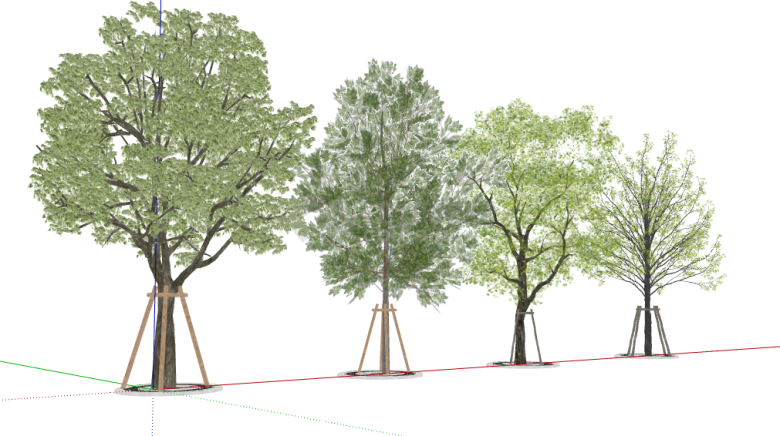 绿植别致现代3d有色叶树木 su模型-图一