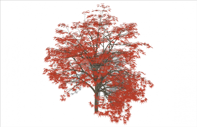 美丽3D红色枫叶树木su模型-图二