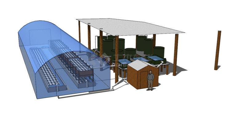 鱼菜共养共生蔬菜养殖 大棚式su模型-图一