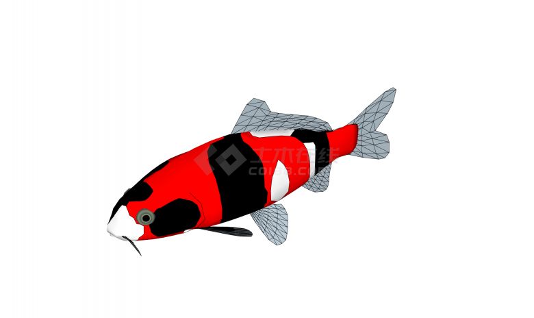 红黑白三色锦鲤水族馆鱼类动物su模型-图一